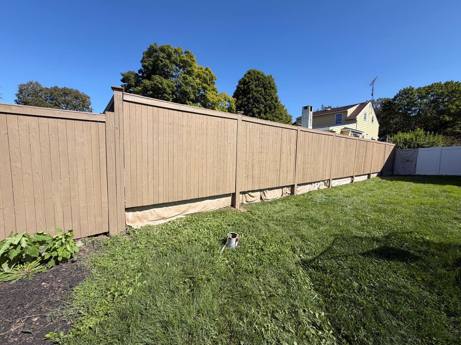 Freshly stained wood privacy fence, finished, in Cherry Hill, NJ.